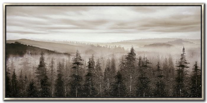 Foggy Mountain Pines 28x56