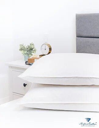 Highland Feather White Waterfowl Feather Pillow