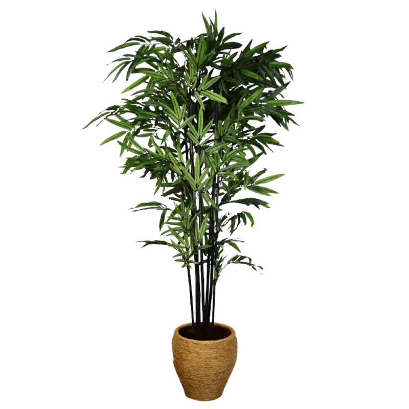 Ballam Furniture  Signature Bamboo