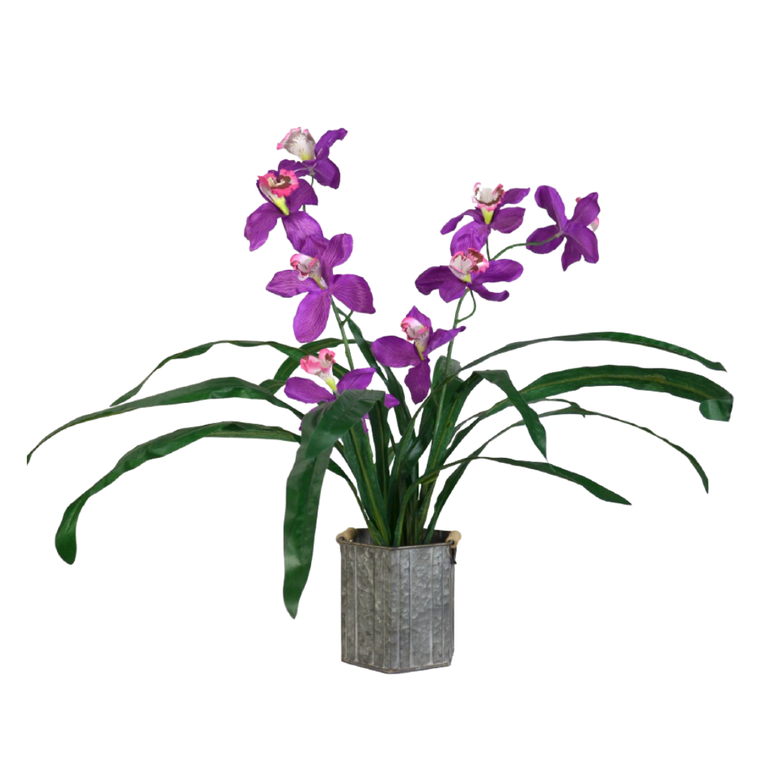 Ballam Furniture  24" Cymbidium Plant
