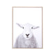 Canvas Sheep Wall Decor